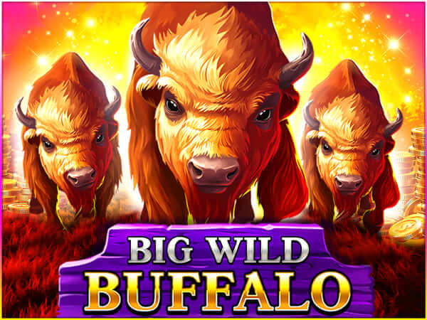 b2bet