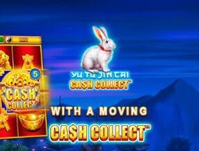 312bet com