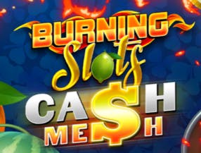 betwinner apk